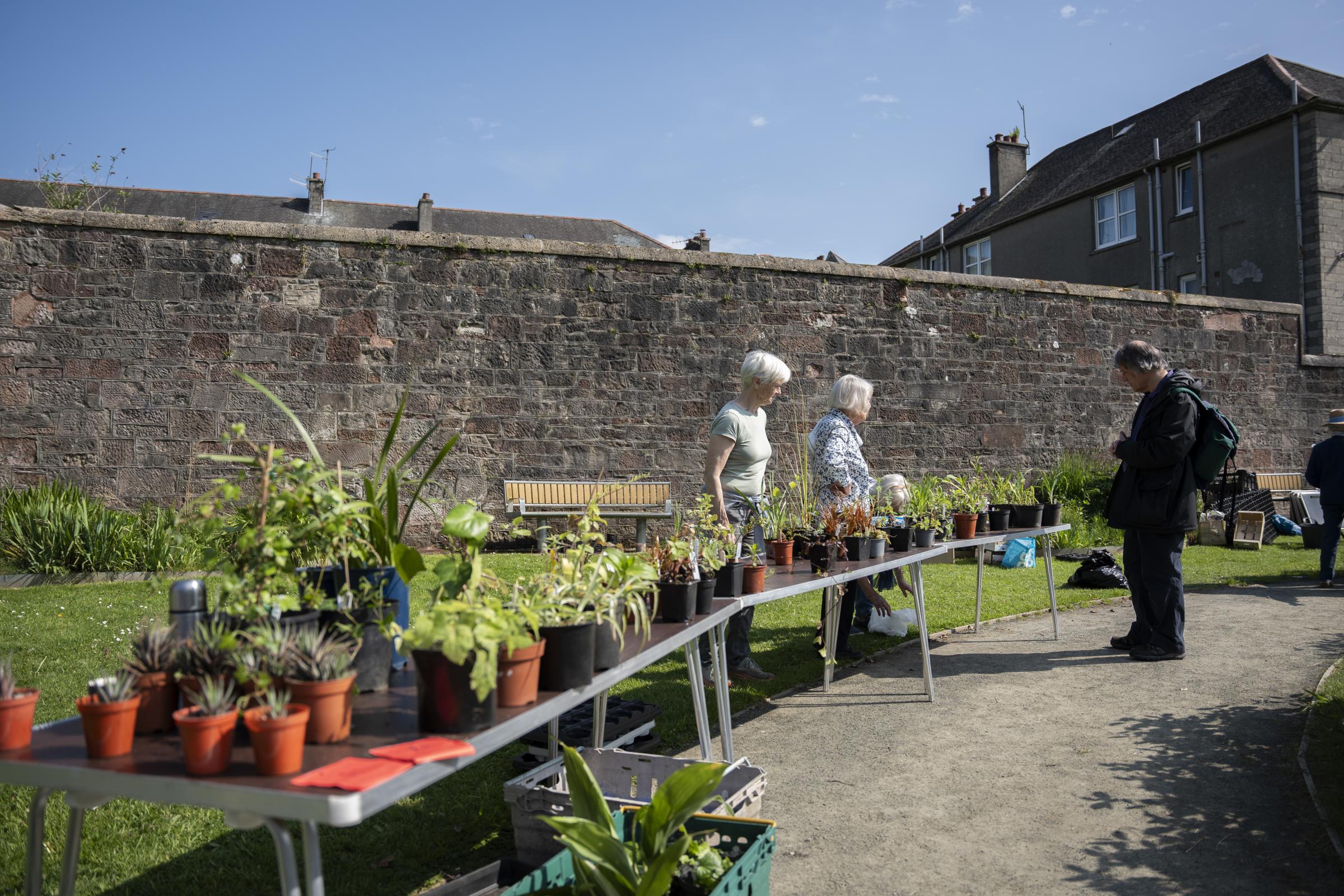 James Street Community Garden hosted a plant sale on May 11 (Photo: Ross Gardner)