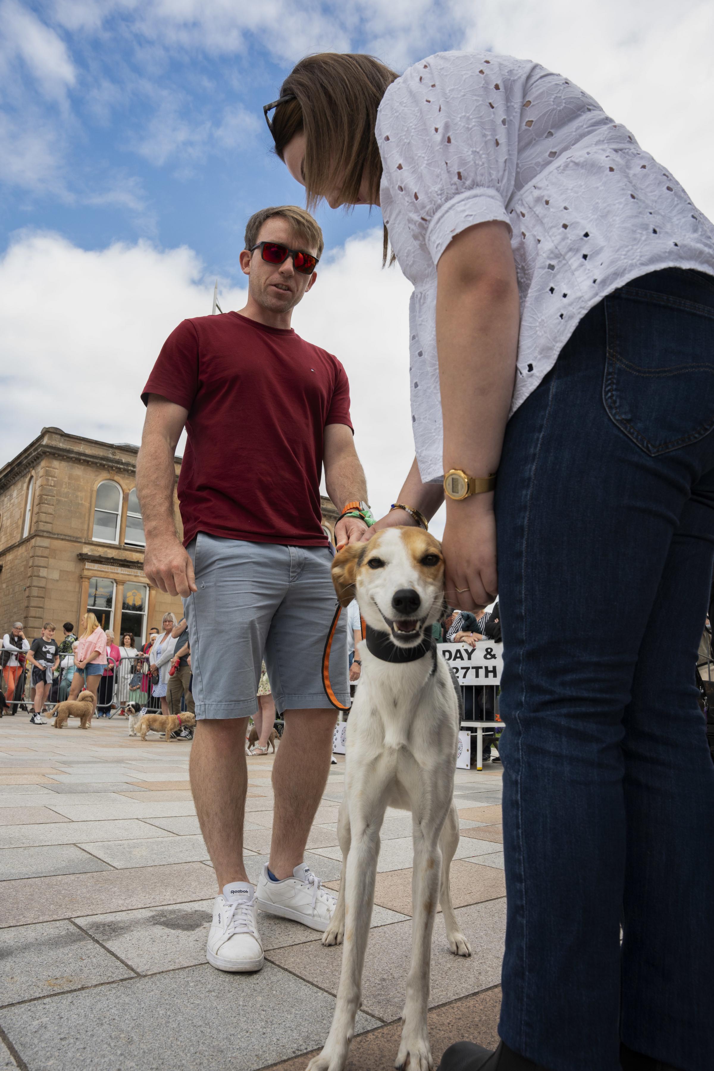 The Dog Show was a great success